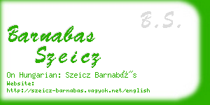 barnabas szeicz business card